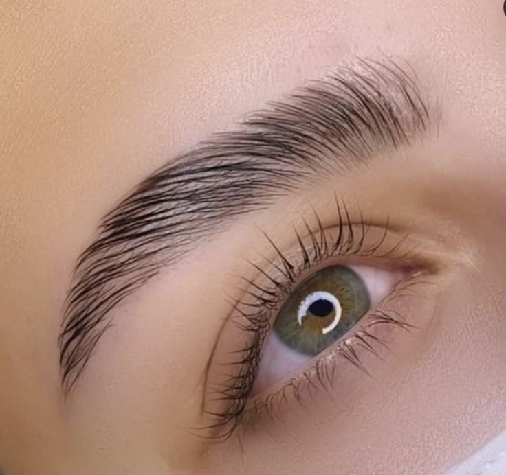 Cejas peinadas hacia arriba, con el vello ordenado y definido